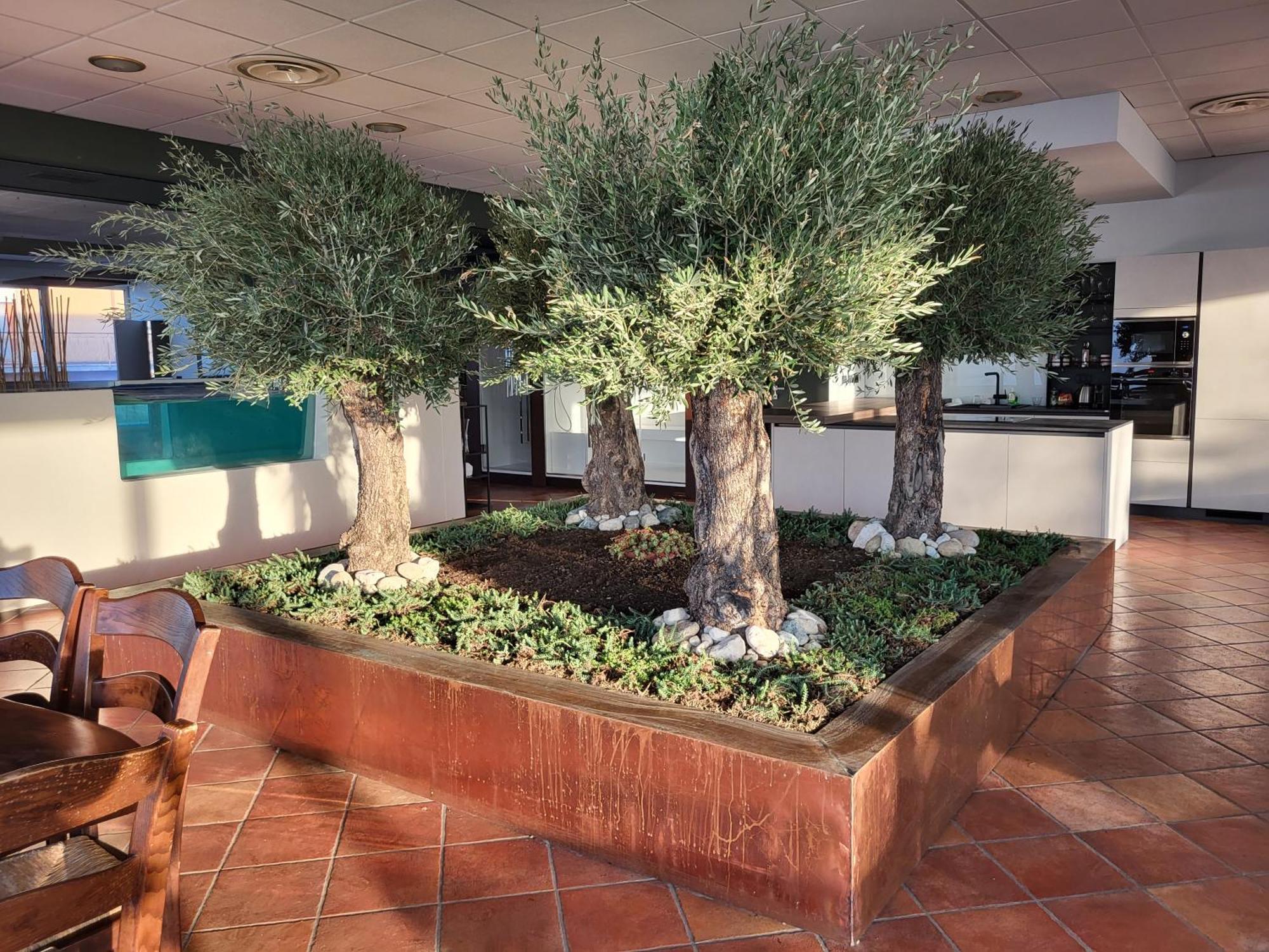 Bellavista Suite Spa Staffolo Εξωτερικό φωτογραφία